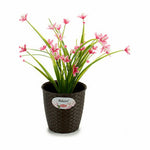 Vaso Stefanplast Plastica 14 x 13 x 14 cm (12 Unità) - Augustea Shop