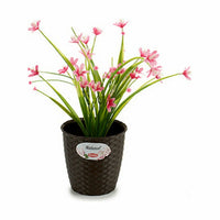 Vaso Stefanplast Plastica 14 x 13 x 14 cm (12 Unità) - Augustea Shop