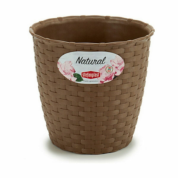 Vaso Stefanplast Marrone Plastica 14 x 13 x 14 cm (12 Unità) - Augustea Shop