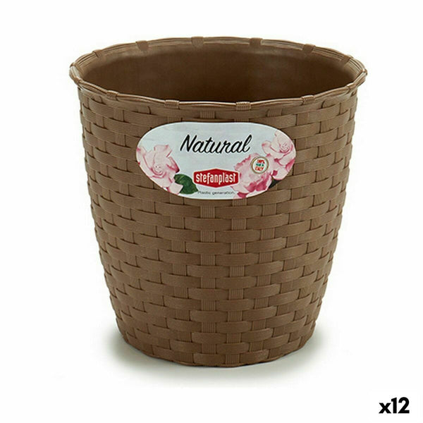 Vaso Stefanplast Marrone Plastica 14 x 13 x 14 cm (12 Unità) - Augustea Shop