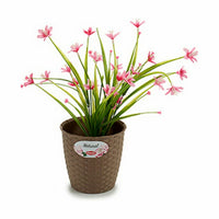 Vaso Stefanplast Marrone Plastica 14 x 13 x 14 cm (12 Unità) - Augustea Shop