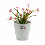 Vaso Stefanplast Bianco Plastica 19 x 17,5 x 19 cm (12 Unità) - Augustea Shop