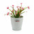 Vaso Stefanplast Bianco Plastica 19 x 17,5 x 19 cm (12 Unità) - Augustea Shop