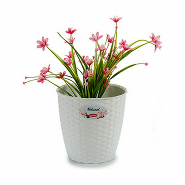 Vaso Stefanplast Bianco Plastica 19 x 17,5 x 19 cm (12 Unità) - Augustea Shop