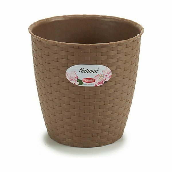 Vaso Stefanplast Marrone Plastica 19 x 17,5 x 19 cm (12 Unità) - Augustea Shop