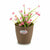 Vaso Stefanplast Marrone Plastica 19 x 17,5 x 19 cm (12 Unità) - Augustea Shop