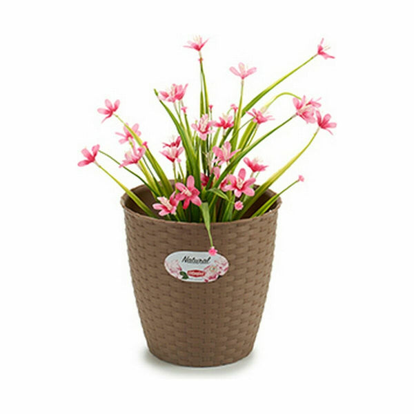 Vaso Stefanplast Marrone Plastica 19 x 17,5 x 19 cm (12 Unità) - Augustea Shop