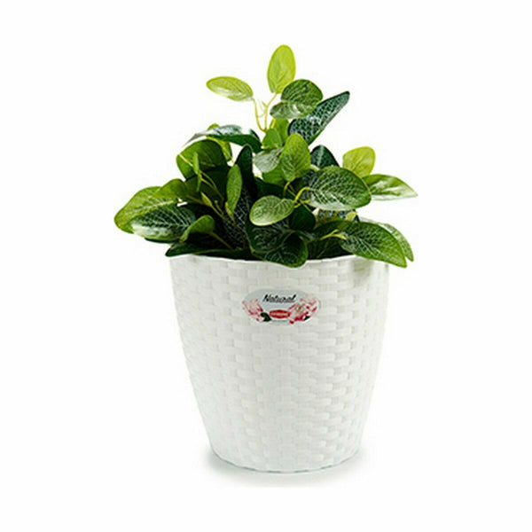 Vaso Stefanplast Bianco Plastica 24 x 22,5 x 24 cm (6 Unità) - Augustea Shop