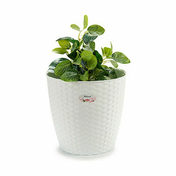 Vaso Stefanplast Bianco Plastica 29 x 27 x 29 cm (6 Unità) - Augustea Shop