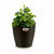 Vaso Stefanplast Plastica 29 x 26,5 x 29 cm (6 Unità) - Augustea Shop