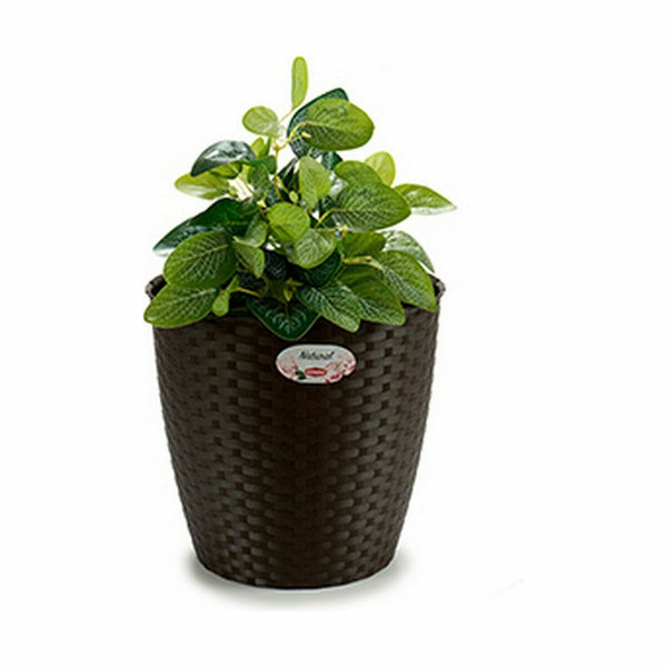 Vaso Stefanplast Plastica 29 x 26,5 x 29 cm (6 Unità) - Augustea Shop
