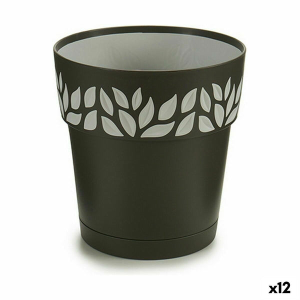 Vaso Autoirrigante Stefanplast Cloe Antracite Plastica 15 x 15 x 15 cm (12 Unità) - Augustea Shop