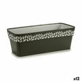 Vaso rettangolare da Balcone Stefanplast Cloe Antracite Plastica 49,5 x 17 x 19 cm (12 Unità)