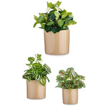 Set di Vasi Ibergarden CILINDRO-1019 Beige Argilla Cilindro Ø 14 cm Ø 22 cm Ø 17 cm 3 Pezzi - Augustea Shop