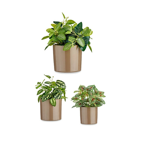 Set di Vasi Ibergarden CILINDRO-7006 Taupé Argilla Cilindro Ø 14 cm Ø 22 cm Ø 17 cm 3 Pezzi - Augustea Shop