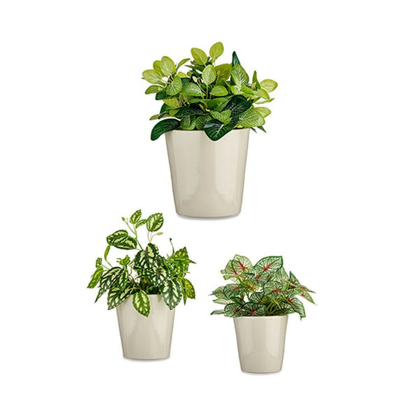 Set di Vasi Ibergarden CONICO-7044 Grigio Argilla Cónica Ø 14 cm Ø 22 cm Ø 17 cm 3 Pezzi - Augustea Shop