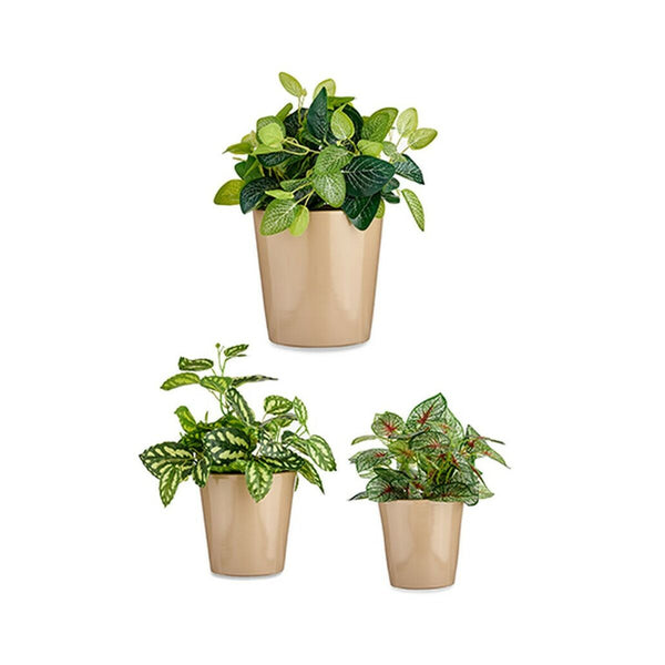 Set di Vasi Ibergarden CONICO-1019 Beige Argilla Cónica Ø 14 cm Ø 22 cm Ø 17 cm 3 Pezzi - Augustea Shop