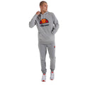 Felpa con Cappuccio Uomo Ellesse Dahryl OH Grigio chiaro