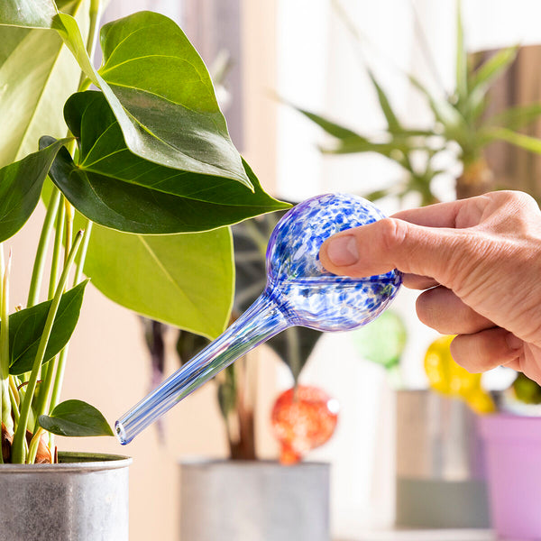 Palline di Irrigazione Automatica Ballwooters InnovaGoods 4 Unità - Augustea Shop