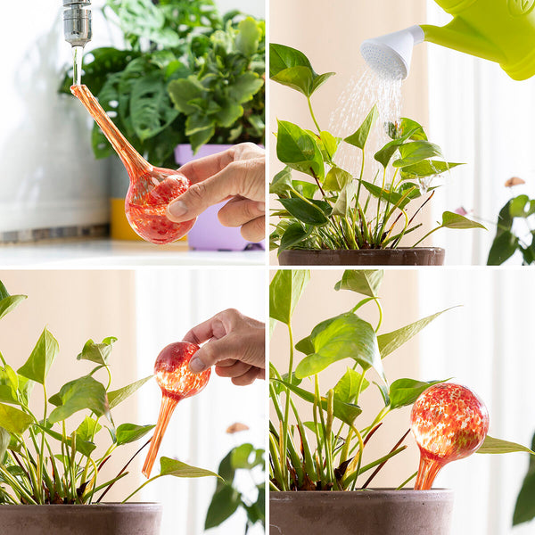 Palline di Irrigazione Automatica Ballwooters InnovaGoods 4 Unità - Augustea Shop