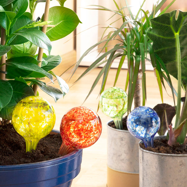Palline di Irrigazione Automatica Ballwooters InnovaGoods 4 Unità - Augustea Shop