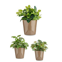 Set di Vasi Ibergarden Cónica Ø 14 cm Ø 22 cm Ø 17 cm Plastica 30 x 40 cm 3 Pezzi (3 Pezzi) - Augustea Shop