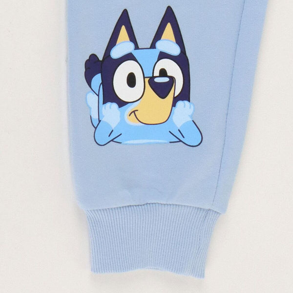 V2H3A42FFC5C9F39F9B061267E68A542158R7500333P5